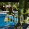 Castro Hotel_lowest prices_in_Hotel_Cyclades Islands_Sandorini_Sandorini Chora
