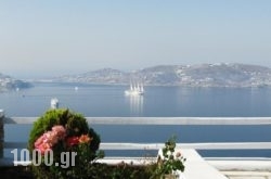 Aeri Villas and Studios in Mykonos Chora, Mykonos, Cyclades Islands