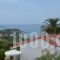 Ventura Rooms_best prices_in_Room_Ionian Islands_Kefalonia_Kefalonia'st Areas