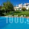 Felix Residence_accommodation_in_Hotel_Ionian Islands_Kefalonia_Vlachata