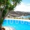 Adikri Villas & Studios_accommodation_in_Villa_Cyclades Islands_Mykonos_Mykonos Chora