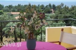 Nikiti House Apartment in Delfi, Fokida, Central Greece