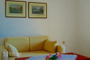 Spiros Studios_accommodation_in_Hotel_Epirus_Preveza_Parga