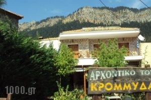 Archontiko Tou Krommyda_best deals_Hotel_Thessaly_Karditsa_Oxia
