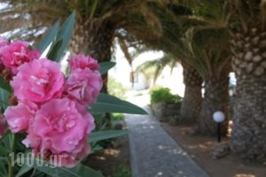 South Coast_lowest prices_in_Hotel_Crete_Lasithi_Aghios Nikolaos