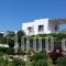 Iliana Rooms & Apartments_best deals_Room_Cyclades Islands_Milos_Milos Chora