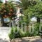 Shine Studios_best deals_Hotel_Aegean Islands_Lesvos_Kalloni