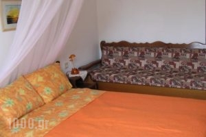 Hermis Studios_best prices_in_Hotel_Ionian Islands_Zakinthos_Laganas