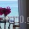 Roussos Beach Hotel_best deals_Hotel_Cyclades Islands_Paros_Paros Chora