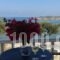 Roussos Beach Hotel_holidays_in_Hotel_Cyclades Islands_Paros_Paros Chora