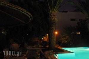 Oasis Apartments & Rooms_best deals_Room_Crete_Rethymnon_Plakias