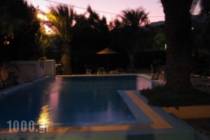 Oasis Apartments & Rooms_best prices_in_Room_Crete_Rethymnon_Plakias