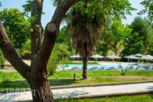 Sani Green Apartments_best prices_in_Apartment_Macedonia_Halkidiki_Kassandreia