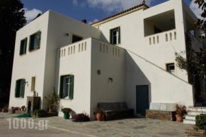 Villa Ioanna_holidays_in_Villa_Cyclades Islands_Andros_Andros City