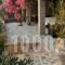 Blue Fort Villas_best deals_Villa_Thessaly_Magnesia_Pilio Area