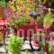 Zaira Studios_best deals_Hotel_Aegean Islands_Lesvos_Skala Eressou