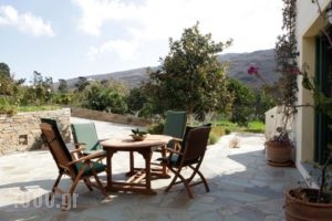 Villa Ioanna_accommodation_in_Villa_Cyclades Islands_Andros_Andros City