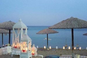 Amoopi Nymfes Royal_best deals_Hotel_Dodekanessos Islands_Karpathos_Karpathos Chora
