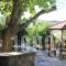 I.N.Kazantzakis_best deals_Hotel_Crete_Heraklion_Zaros