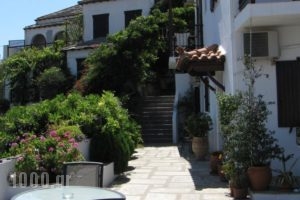 Thea Home Hotel_accommodation_in_Hotel_Sporades Islands_Skopelos_Skopelos Chora