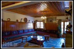 Hotel Bitouni_accommodation_in_Hotel_Epirus_Ioannina_Metsovo