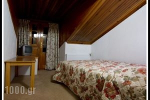 Hotel Bitouni_best prices_in_Hotel_Epirus_Ioannina_Metsovo