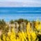 Villa Alyko_travel_packages_in_Cyclades Islands_Ios_Ios Chora