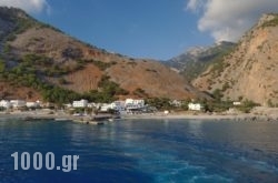 Artemis Studios in Sfakia, Chania, Crete