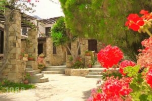 Cochili_accommodation_in_Hotel_Cyclades Islands_Syros_Posidonia