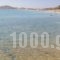 Katerina Babis Studios_travel_packages_in_Cyclades Islands_Naxos_Naxos Chora