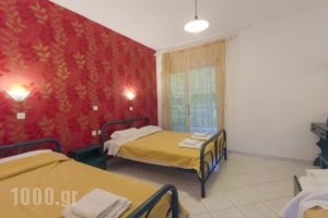 Studios Suzanna_best prices_in_Hotel_Aegean Islands_Thasos_Thasos Chora