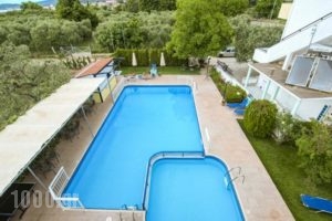 Studios Suzanna_best deals_Hotel_Aegean Islands_Thasos_Thasos Chora