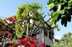 Papanestoras Apartments in Tilos Chora, Tilos, Dodekanessos Islands