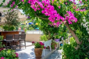 Missiria Apartments_lowest prices_in_Apartment_Crete_Rethymnon_Rethymnon City