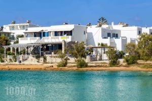 Theologos Beach_accommodation_in_Hotel_Cyclades Islands_Antiparos_Antiparos Chora