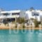 Theologos Beach_accommodation_in_Hotel_Cyclades Islands_Antiparos_Antiparos Chora