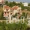 Villa Dioni_accommodation_in_Villa_Central Greece_Attica_Spata