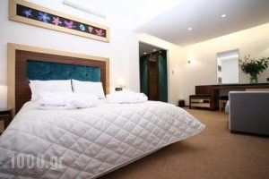 Dovitel Boutique Hotel_best deals_Hotel_Epirus_Ioannina_Ioannina City