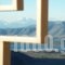 Nidimos Hotel_best deals_Hotel_Central Greece_Fokida_Delfi