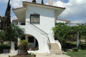 Katerina Apartments_travel_packages_in_Thessaly_Magnesia_Pilio Area