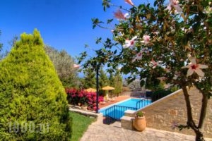 Villa Milli_holidays_in_Villa_Crete_Rethymnon_Rethymnon City