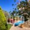 Villa Milli_holidays_in_Villa_Crete_Rethymnon_Rethymnon City