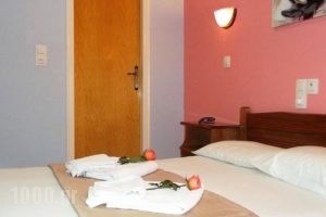 Apartments Filoxenia Zois_best prices_in_Apartment_Ionian Islands_Lefkada_Lefkada Chora
