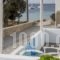 Ammos Studios_holidays_in_Hotel_Cyclades Islands_Donousa_Donousa Chora