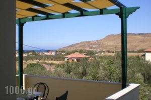 Vasiliki Studios_best deals_Hotel_Aegean Islands_Lesvos_Petra