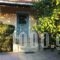 Nikolaos Apartments_best deals_Apartment_Peloponesse_Achaia_Vrachneika