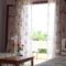 Alexandros & Gerekos Apartments_lowest prices_in_Apartment_Ionian Islands_Corfu_Kondokali