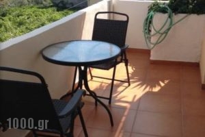 Seaview Apartments Meganisi_accommodation_in_Apartment_Ionian Islands_Lefkada_Lefkada's t Areas