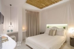 Thomais Studios in Paros Rest Areas, Paros, Cyclades Islands