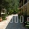 Villa Katerina Apartments_lowest prices_in_Villa_Ionian Islands_Corfu_Corfu Rest Areas